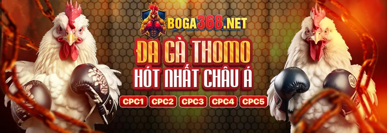 Trường gà trực tuyến sôi động tại 32win3 Casino